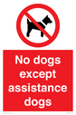 no-dogs-except-assistance-dogs~